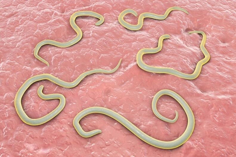 Parasiten